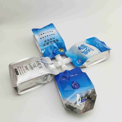 Custom Foil Four-Side-Seal Pouch 1–10 L with Spout for Fruit Juice